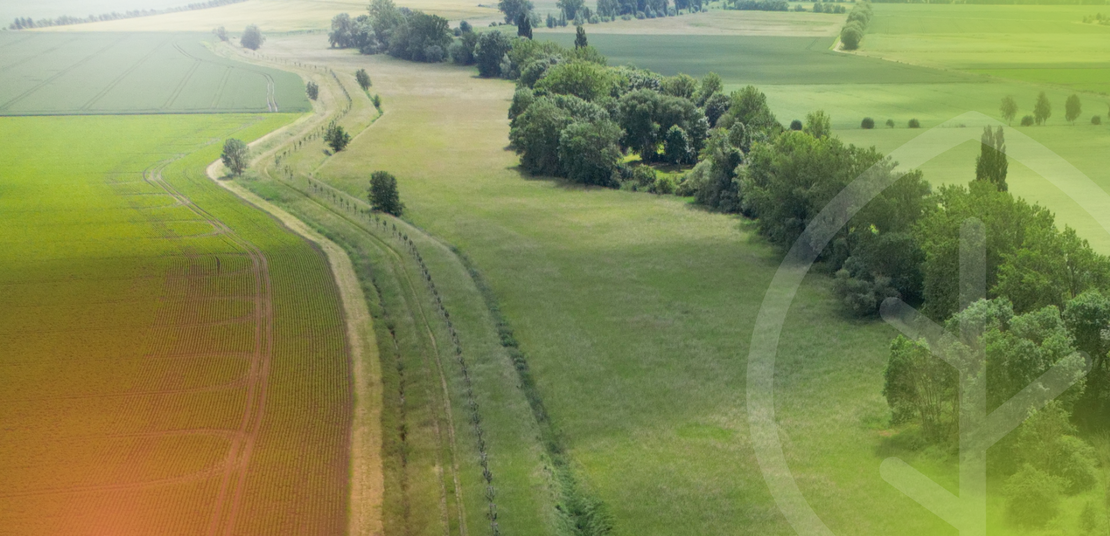 Foto zeigt das grüne Band - das 343 km lange Naturschutzgebiet entlang der ehemaligen innerdeutschen Grenze.