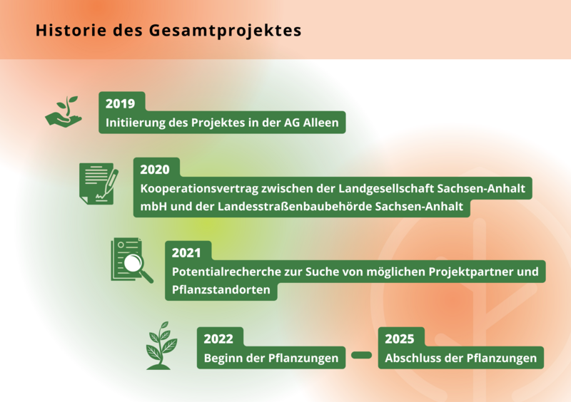 Historie des Gesamtprojektes der Nachpflanzungsstrategie
